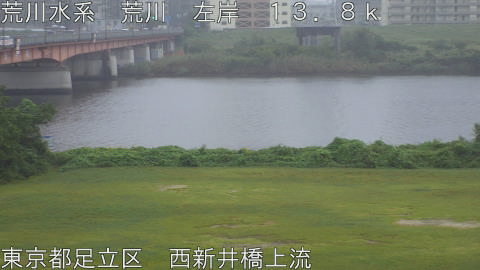 arani2025101112_image