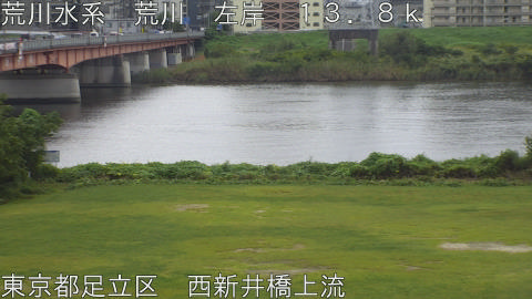 arani2025101512_image
