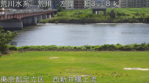 arani2025101712_image