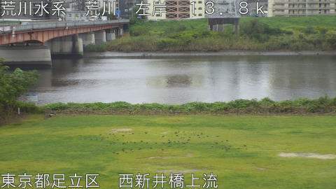 arani2025102012_image