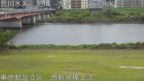 arani2025102412_image