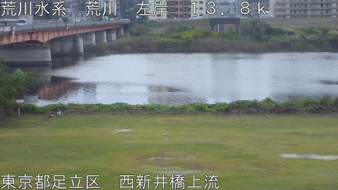 arani2025103112_image