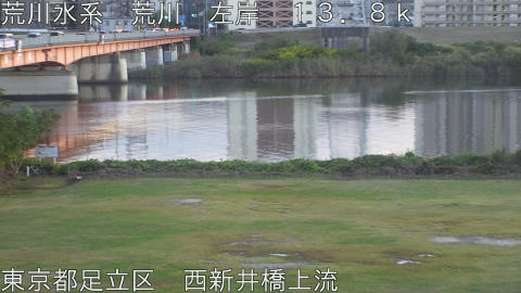 arani2025110117_image