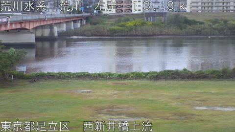 arani2025110207_image