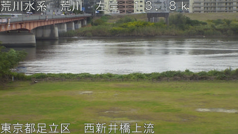 arani2025110212_image