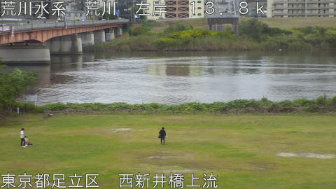 arani2025110213_image