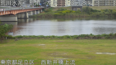 arani2025110215_image