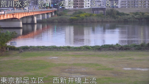 arani2025110217_image