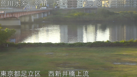 arani2025110307_image