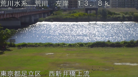 arani2025110311_image