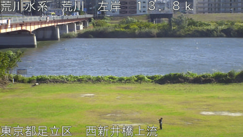 arani2025110314_image