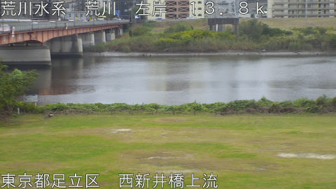 arani2025110512_image