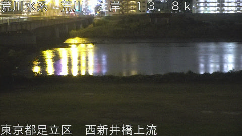 arani2025110523_image