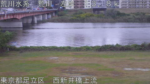 arani2025110607_image