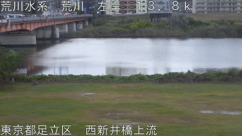 arani2025110609_image