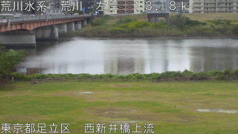 arani2025110612_image