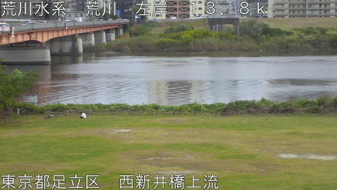 arani2025110615_image