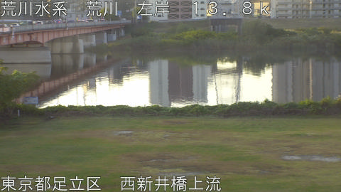 arani2025110707_image