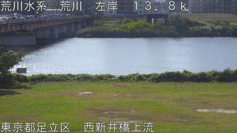 arani2025110710_image