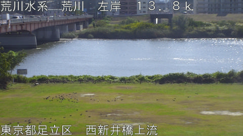 arani2025110712_image