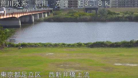 arani2025110714_image