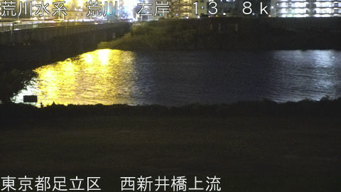 arani2025110718_image