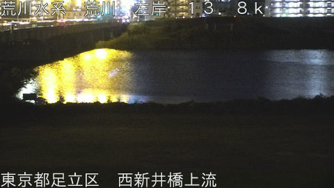 arani2025110719_image