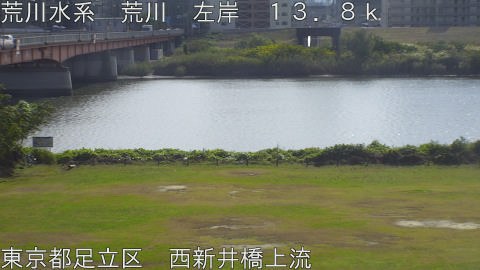 arani2025110812_image