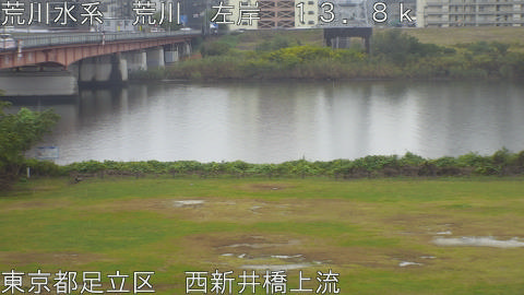 arani2025110912_image