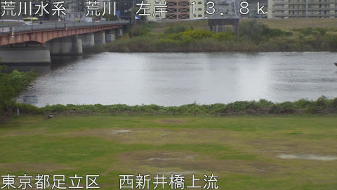 arani2025111112_image