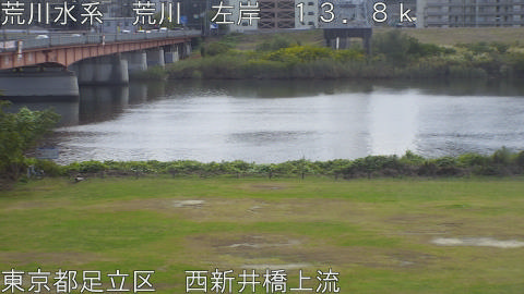 arani2025111212_image