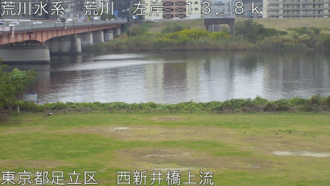 arani2025111312_image