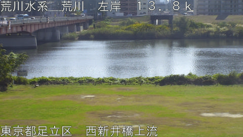 arani2025111412_image