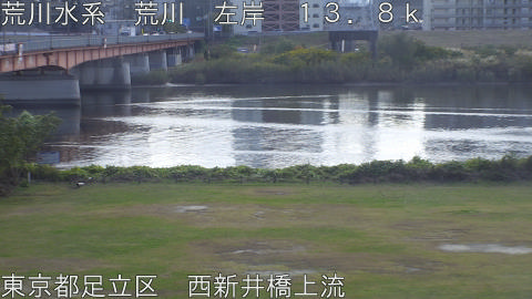 arani2025111612_image