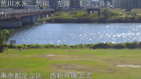 arani2025111712_image