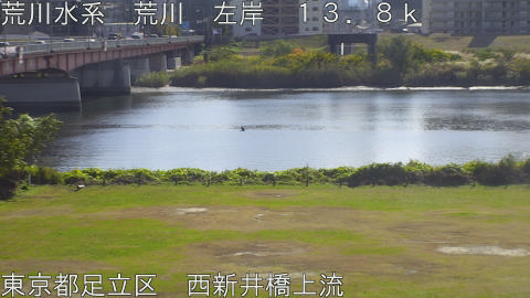 arani2025111912_image