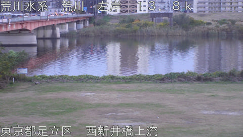 arani2025112007_image