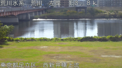 arani2025112011_image