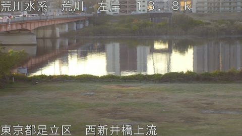 arani2025112107_image