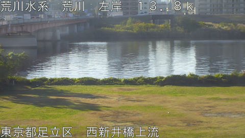 arani2025112108_image