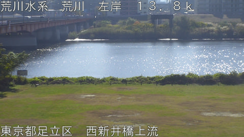 arani2025112111_image