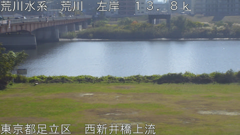 arani2025112112_image