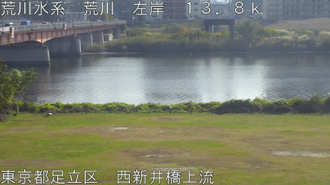 arani2025112113_image