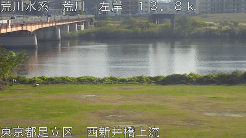 arani2025112114_image