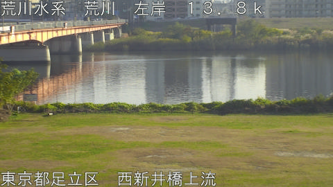 arani2025112115_image