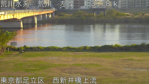 arani2025112116_image