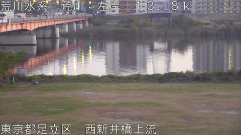 arani2025112117_image