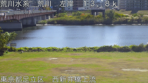 arani2025112212_image