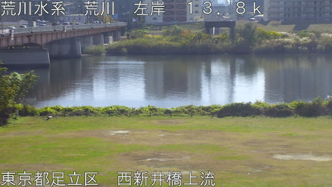 arani2025112412_image