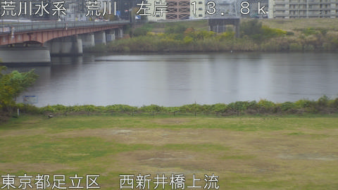 arani2025112512_image